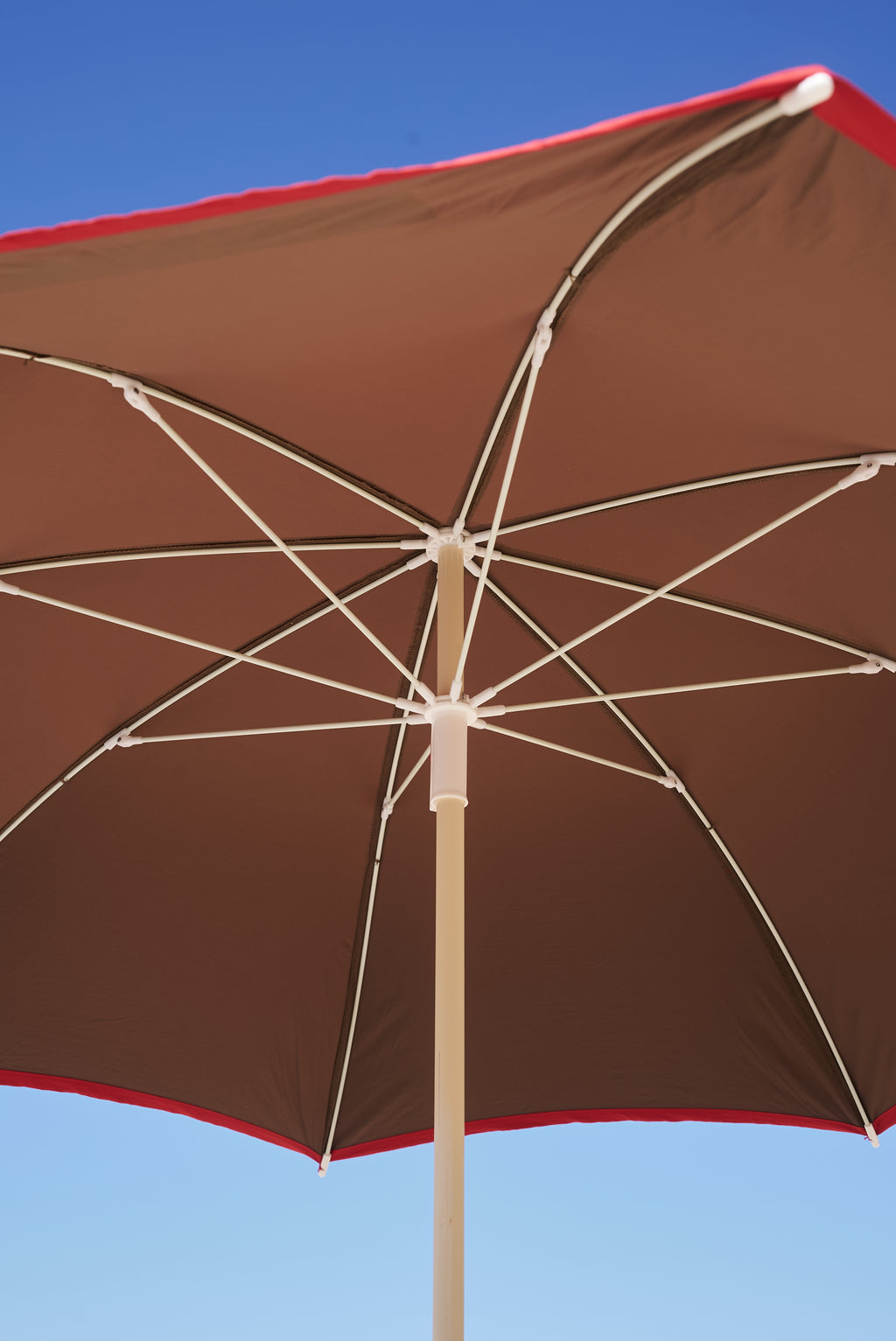 The Brown Umbrella