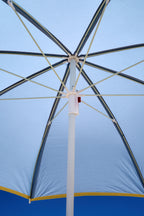 The Blue Umbrella